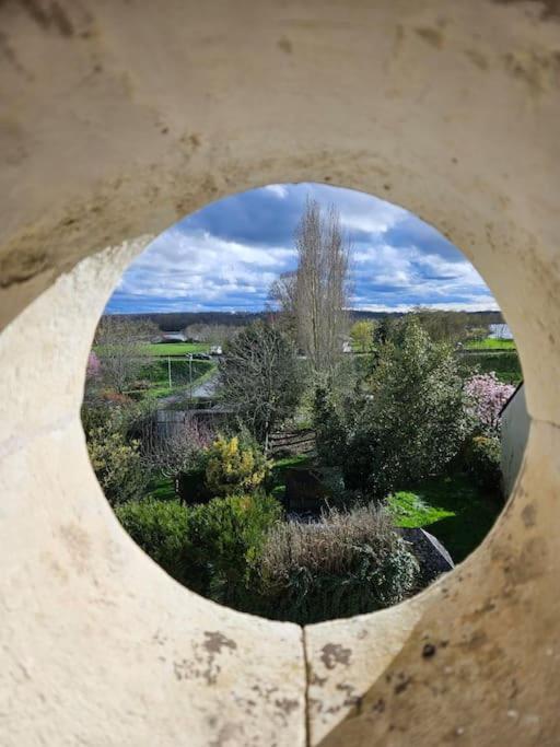 Apartamento Raªve De Loire La Dagueniere Exterior foto